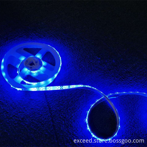 Double Intelligent Sensor LED Bed Light